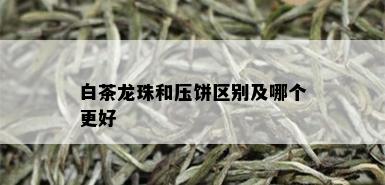 白茶龙珠和压饼区别及哪个更好