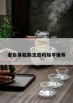 老白茶能防流感吗知乎推荐