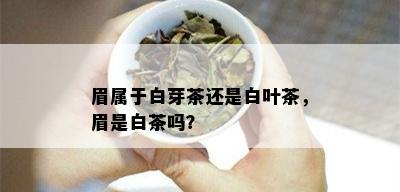 眉属于白芽茶还是白叶茶，眉是白茶吗？