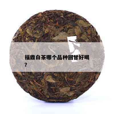 福鼎白茶哪个品种回甘好喝？