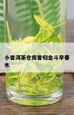 小普洱茶仓库昔归金斗早春木