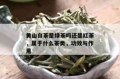 黄山白茶是绿茶吗还是红茶，属于什么茶类，功效与作用