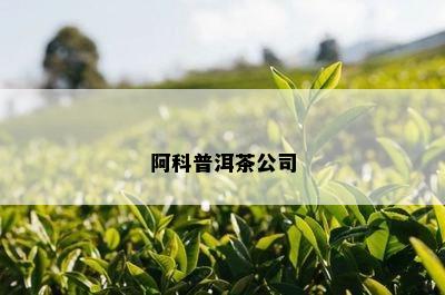 阿科普洱茶公司