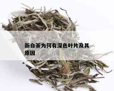 新白茶为何有深色叶片及其原因