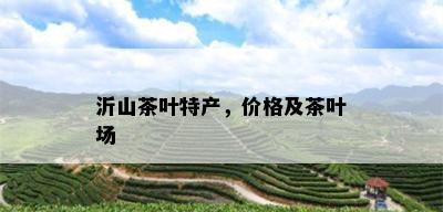 沂山茶叶特产，价格及茶叶场