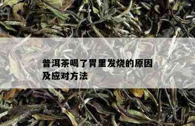 普洱茶喝了胃里发烧的原因及应对方法