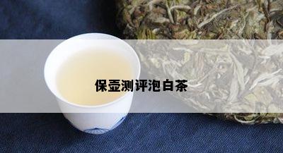 保壶测评泡白茶