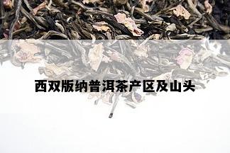 西双版纳普洱茶产区及山头