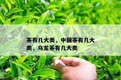 茶有几大类，中国茶有几大类，乌龙茶有几大类