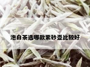 泡白茶选哪款紫砂壶比较好