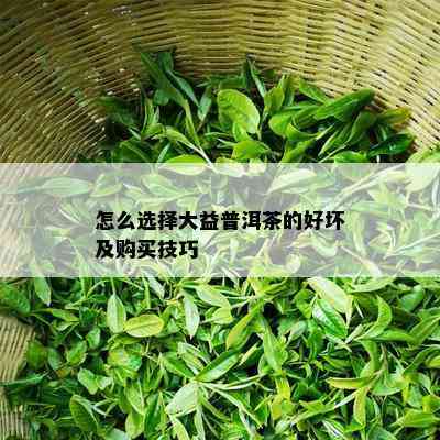 怎么选择大益普洱茶的好坏及购买技巧