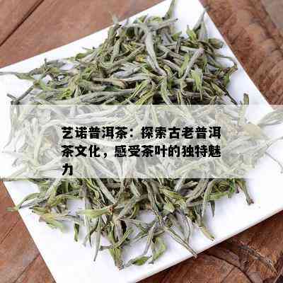 艺诺普洱茶：探索古老普洱茶文化，感受茶叶的独特魅力