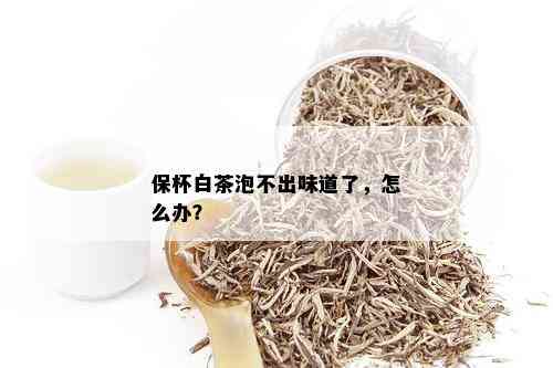 保杯白茶泡不出味道了，怎么办？