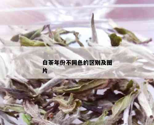 白茶年份不同色的区别及图片