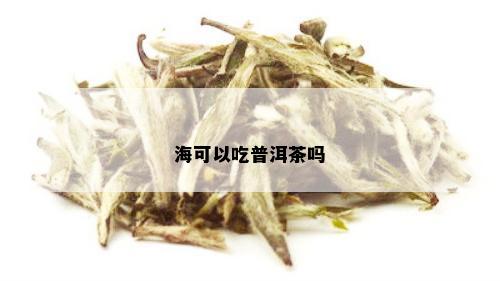 海可以吃普洱茶吗