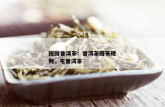 囤囤普洱茶：普洱茶囤茶规则，屯普洱茶