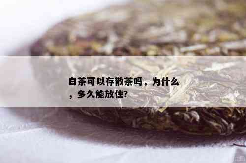 白茶可以存散茶吗，为什么，多久能放住？