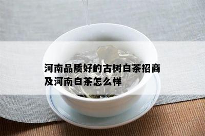 河南品质好的古树白茶招商及河南白茶怎么样