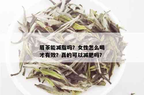 眉茶能减脂吗？女性怎么喝才有效？真的可以减肥吗？