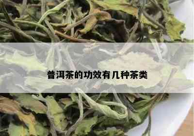 普洱茶的功效有几种茶类