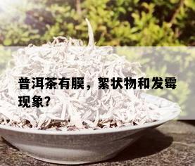 普洱茶有膜，絮状物和发霉现象？