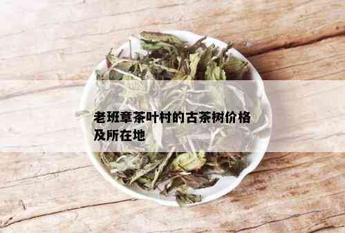 老班章茶叶村的古茶树价格及所在地