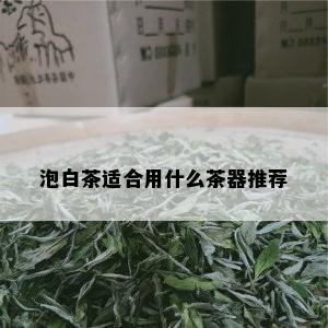 泡白茶适合用什么茶器推荐