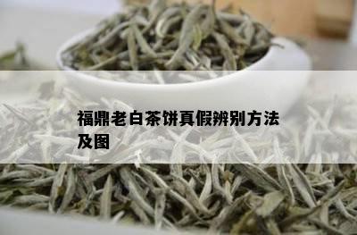 福鼎老白茶饼真假辨别方法及图