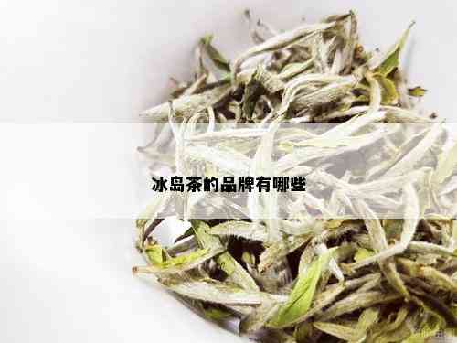 冰岛茶的品牌有哪些