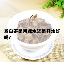 煮白茶是用凉水还是开水好喝？