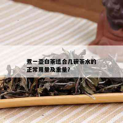 煮一壶白茶适合几碗茶水的正常用量及重量？