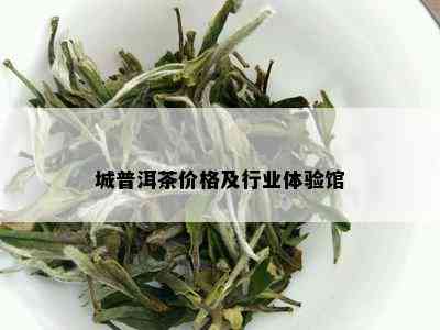 城普洱茶价格及行业体验馆