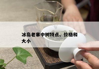 冰岛老寨中树特点、价格和大小