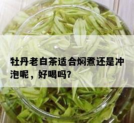 牡丹老白茶适合焖煮还是冲泡呢，好喝吗？