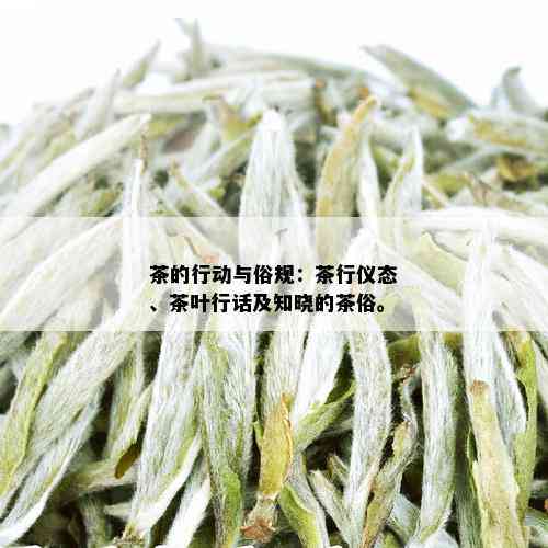 茶的行动与俗规：茶行仪态、茶叶行话及知晓的茶俗。