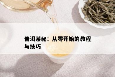 普洱茶秘：从零开始的教程与技巧