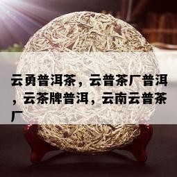 云勇普洱茶，云普茶厂普洱，云茶牌普洱，云南云普茶厂