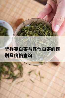 华祥苑白茶与其他白茶的区别及价格查询