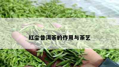 红尘普洱茶的作用与茶艺