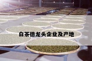 白茶德龙头企业及产地