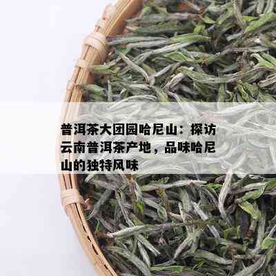 普洱茶大团园哈尼山：探访云南普洱茶产地，品味哈尼山的独特风味