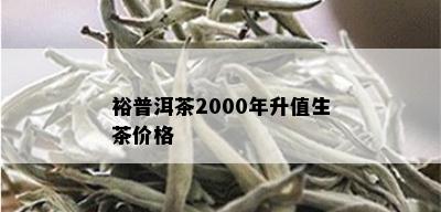 裕普洱茶2000年升值生茶价格