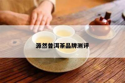 源然普洱茶品牌测评