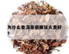 为什么普洱茶很疯狂火贵好？