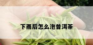 下雨后怎么泡普洱茶