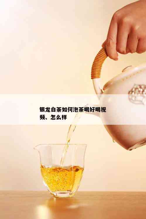 银龙白茶如何泡茶喝好喝视频、怎么样