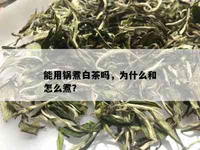 能用锅煮白茶吗，为什么和怎么煮？