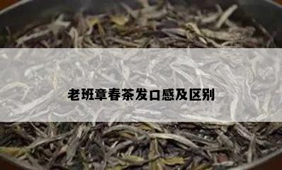 老班章春茶发口感及区别