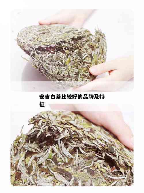 安吉白茶比较好的品牌及特征