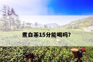 煮白茶15分能喝吗？